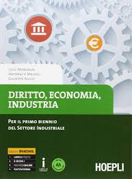 Cover of DIRITTO ECONOMIA INDUSTRIA PER IL PRIMO BIENNIO DEL SETTORE INDUSTRIAL