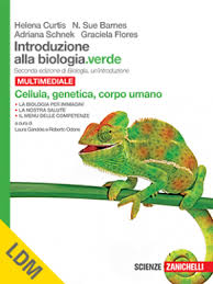 Cover of INTRODUZIONE ALLA BIOLOGIA.VERDE - 2ED. DI BIOLOGIA, UN'INTRODUZIONE C